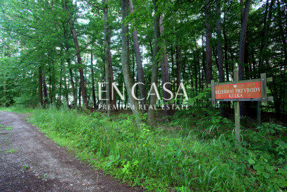Plot Sale Orzyny